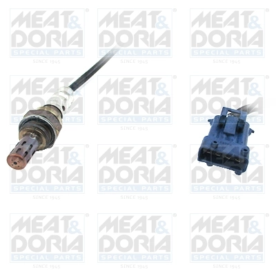 Oxygen Sensor